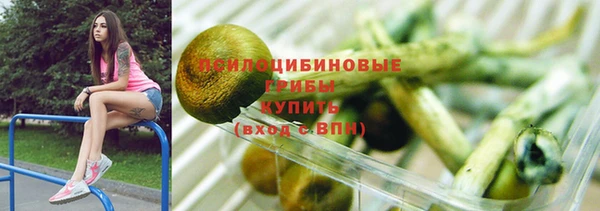 шишки Балабаново